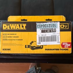 Dewalt Battery with Charger