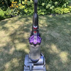 Dyson DC28 Animal Bagless vacuum