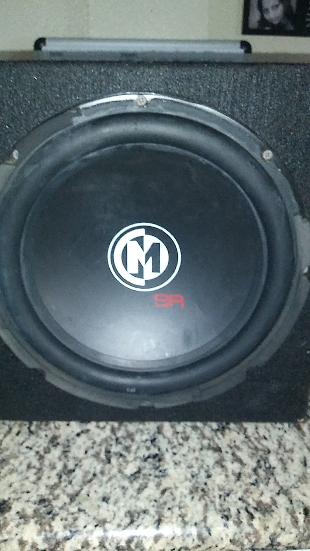 12" speaker