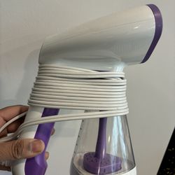 Clothes Steamer And Disinfectant 