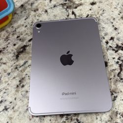 iPad Mini a17 128gb Cellular Purple