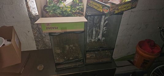 Two exo terra terrariums.