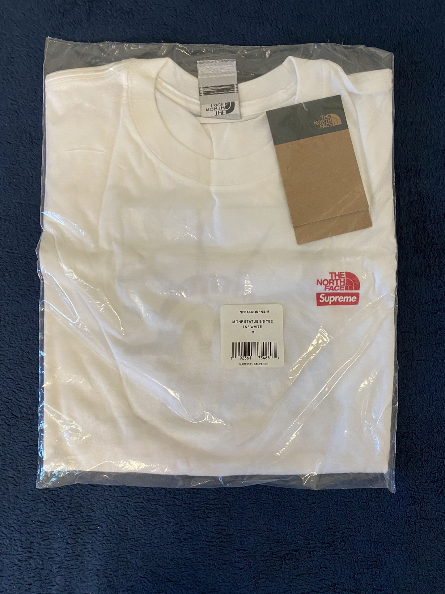 Supreme The North Face Statue Of Liberty Tee 