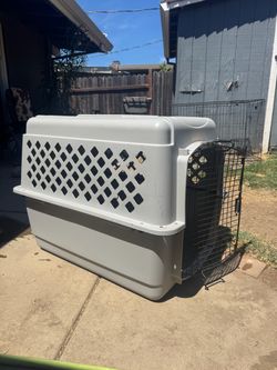 Medium Travel Kennel