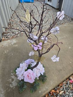 Manzanita trees