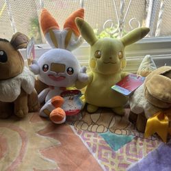 Pokémon Plushies 