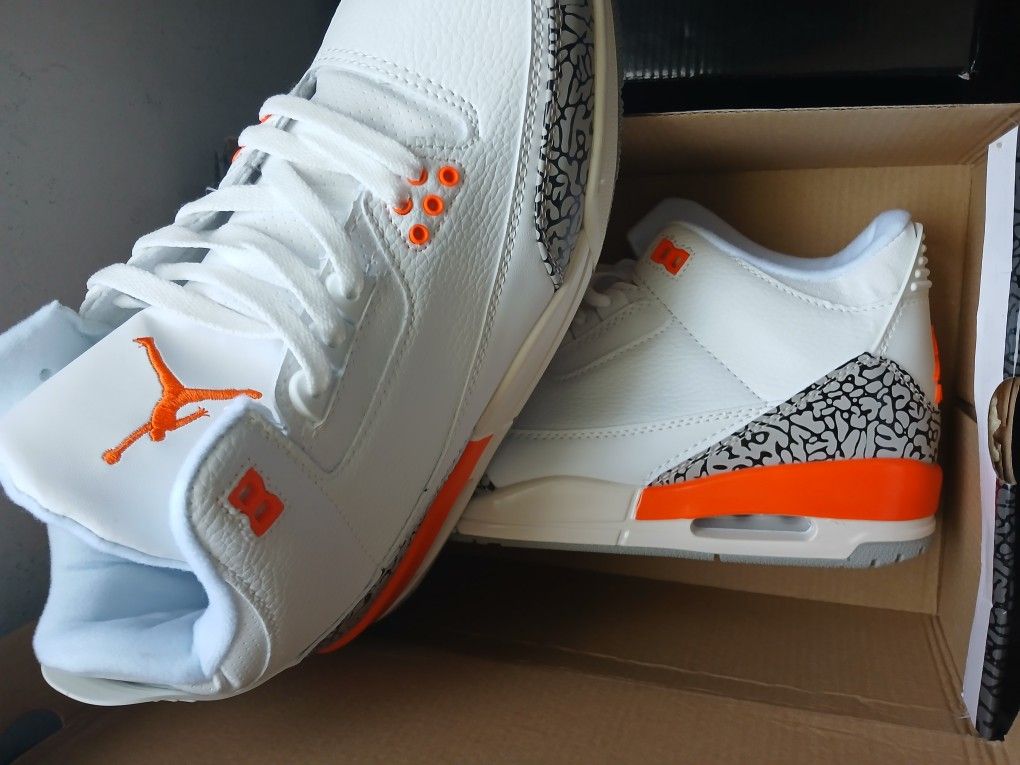 Retro Jordan 3s