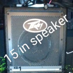 Peney Speaker