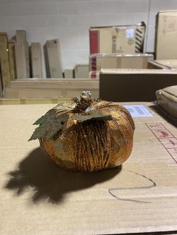 Beautiful Pumpkin kin Holiday decor Christmas Thanksgiving west elm accessory