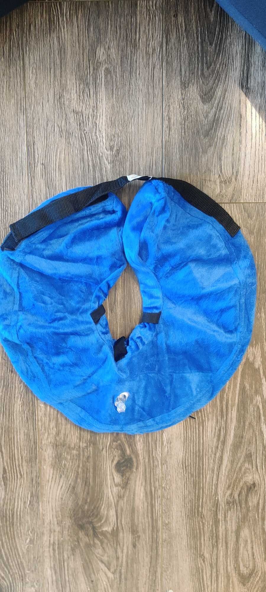 Dog Cone