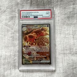 Pokémon Card Dachsbun Ex SIR Grade 9
