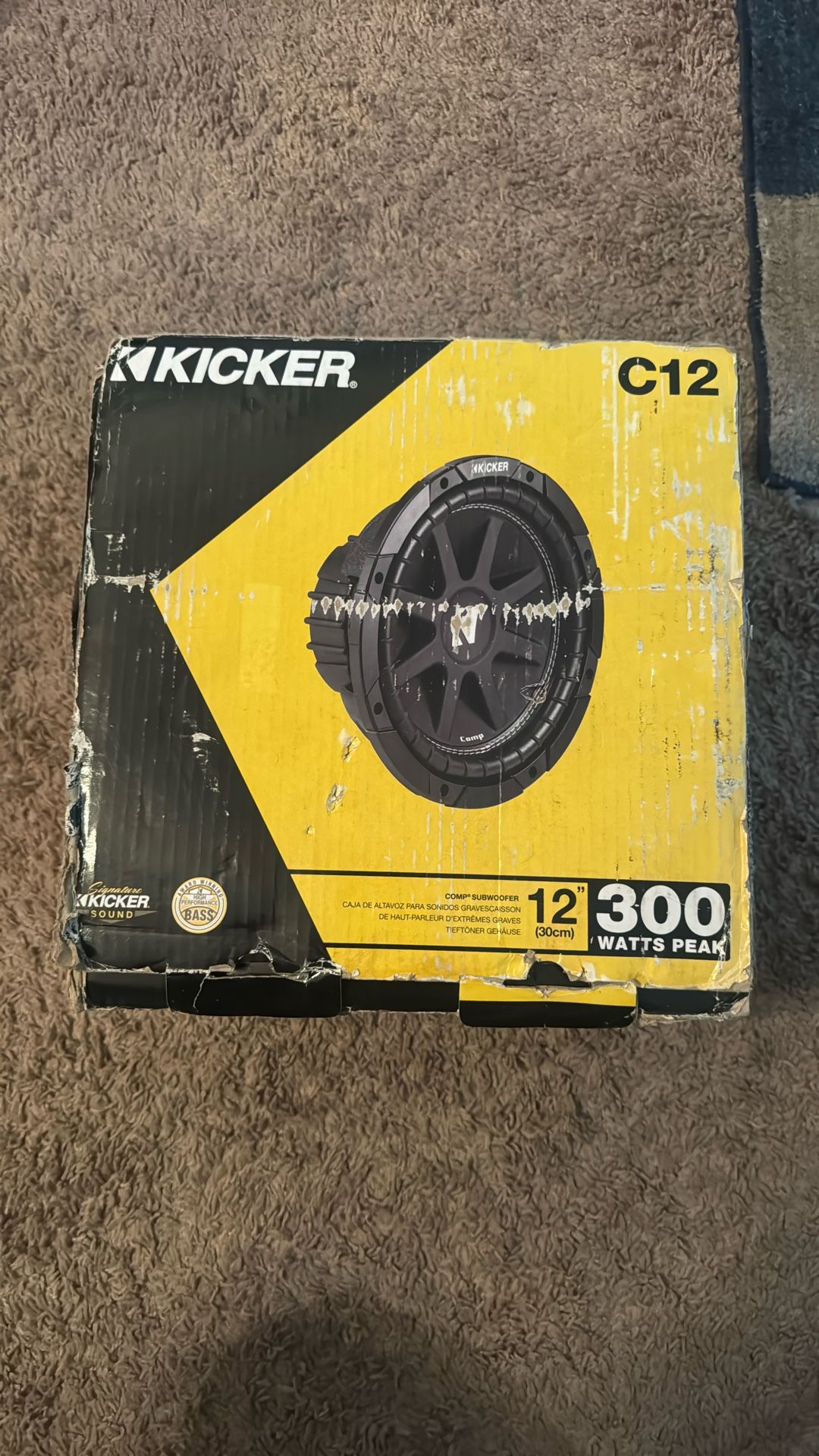 Kicker C12