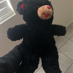 Black Teddy Bear