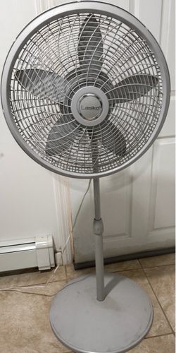 Fan
