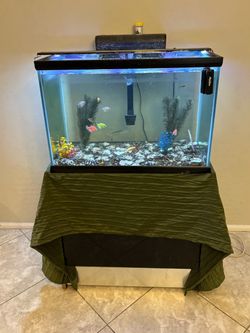 75 Gallon Fish Tank (ALL FISH AND DECOR INCLUDED)