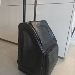 Carry On Bag For Small Dog