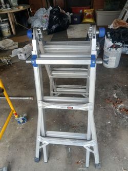 Scaffold  and Ladder