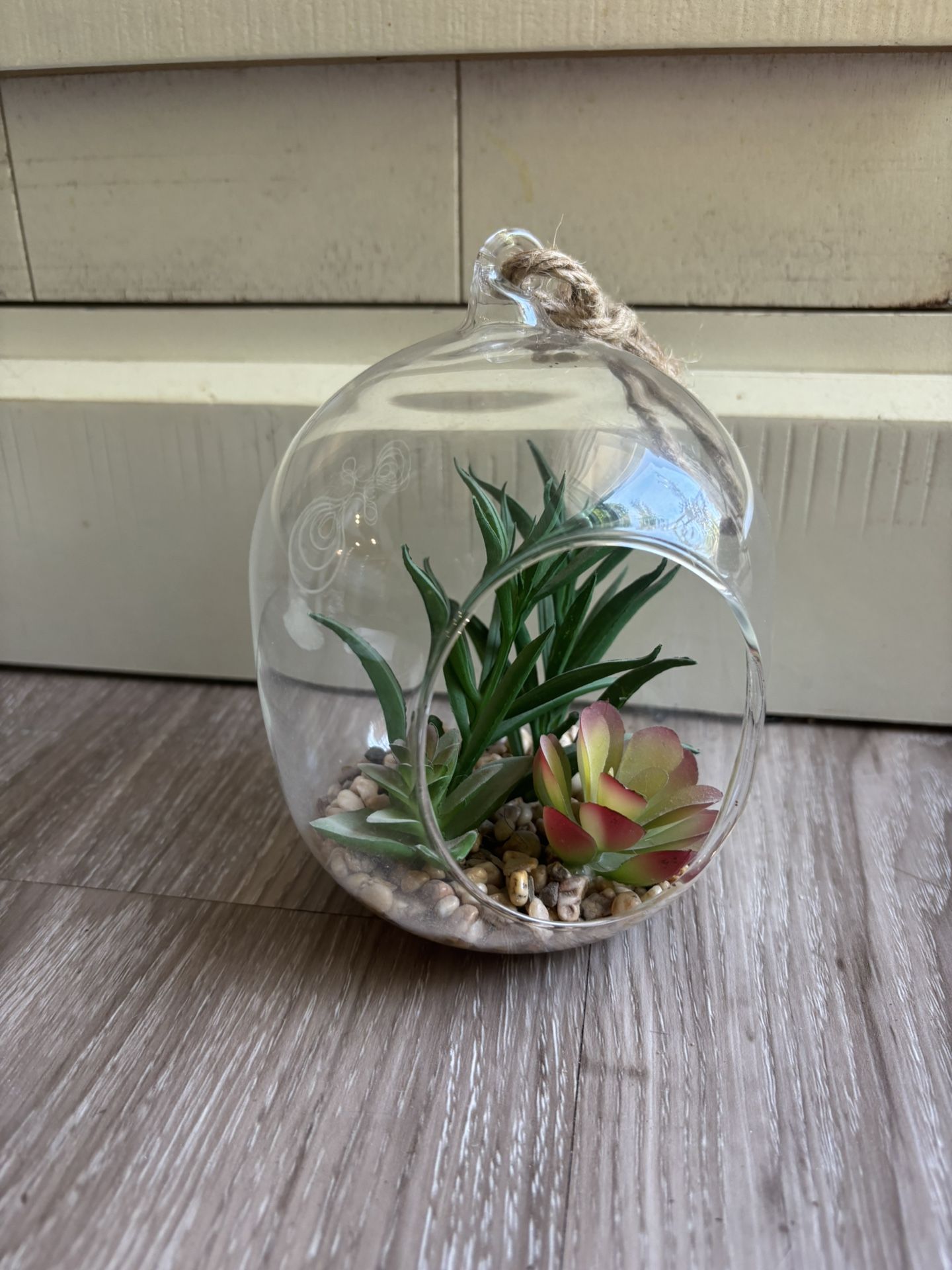 4” Hanging Succulents