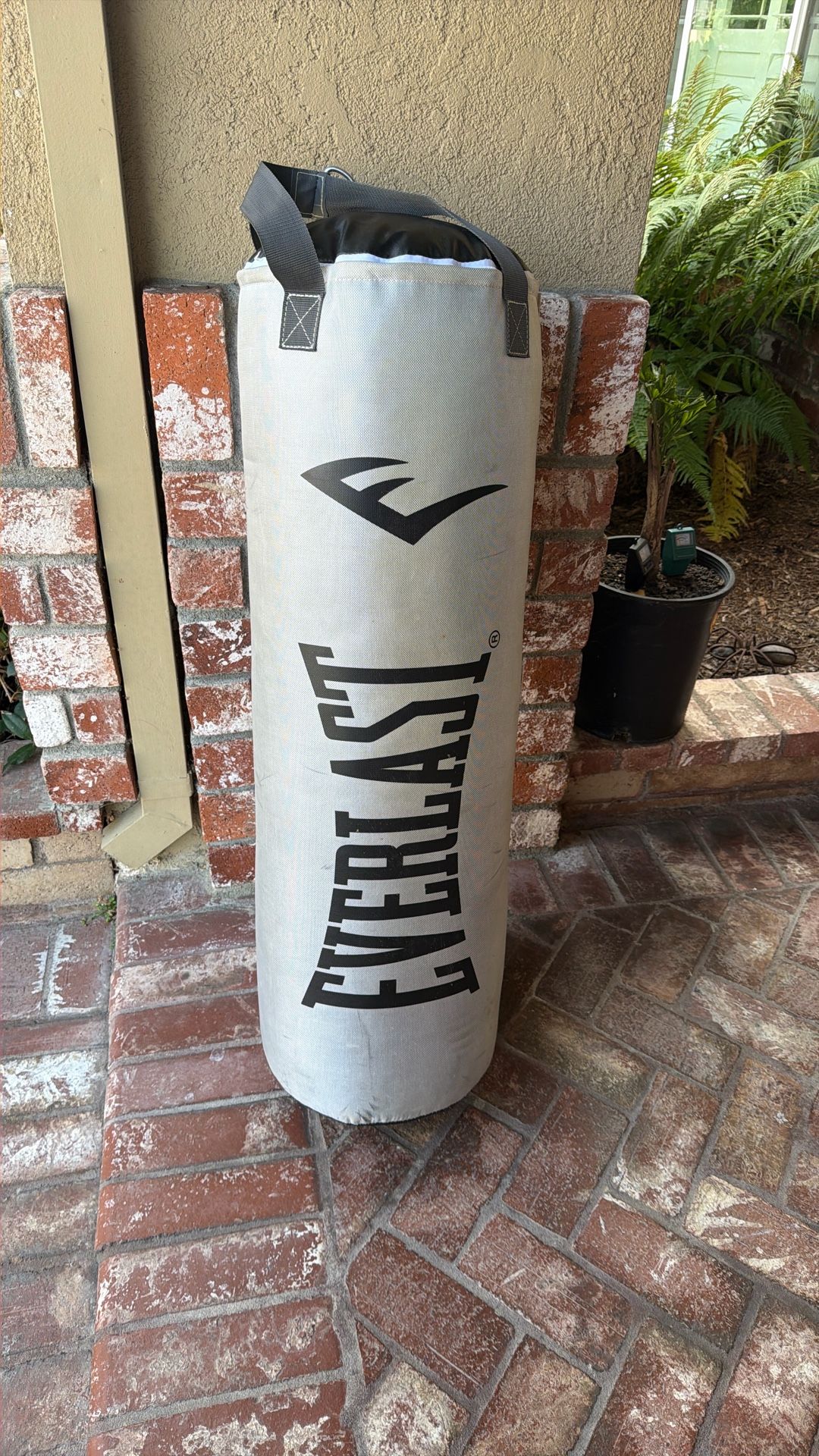 Everlast Punching Bag