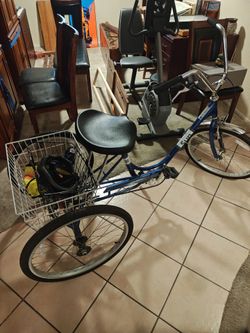 3 Wheel Adult. Sun Traditional