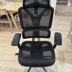 Ergonomic Desk Chair - NouHaus