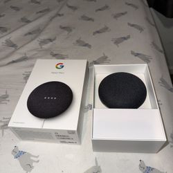 Google Best Mini 
