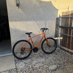 Trek Hybrid Bike 