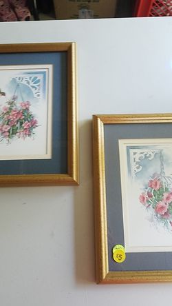 Pictures of humming birds