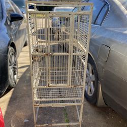 Bird Cage