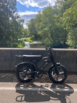 TST Moped Style Ebike