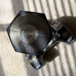 20 lb Dumbbells Set (Pair)