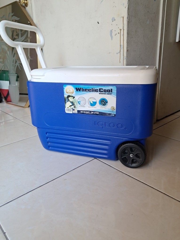 Cooler
