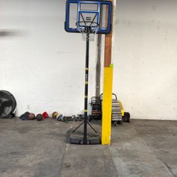 Lifetime Portable Basketball Hoop