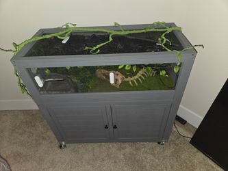 Reptile enclosure