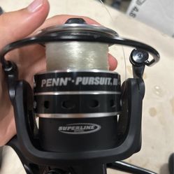 Penn Pursuit third