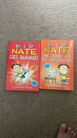 Big Nate books