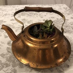 Vintage Teapot Succulent Arrangement