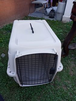 Bargain hound 28x20.5x21.5