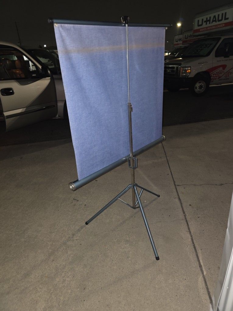 Vintage Radiant Projector Screen