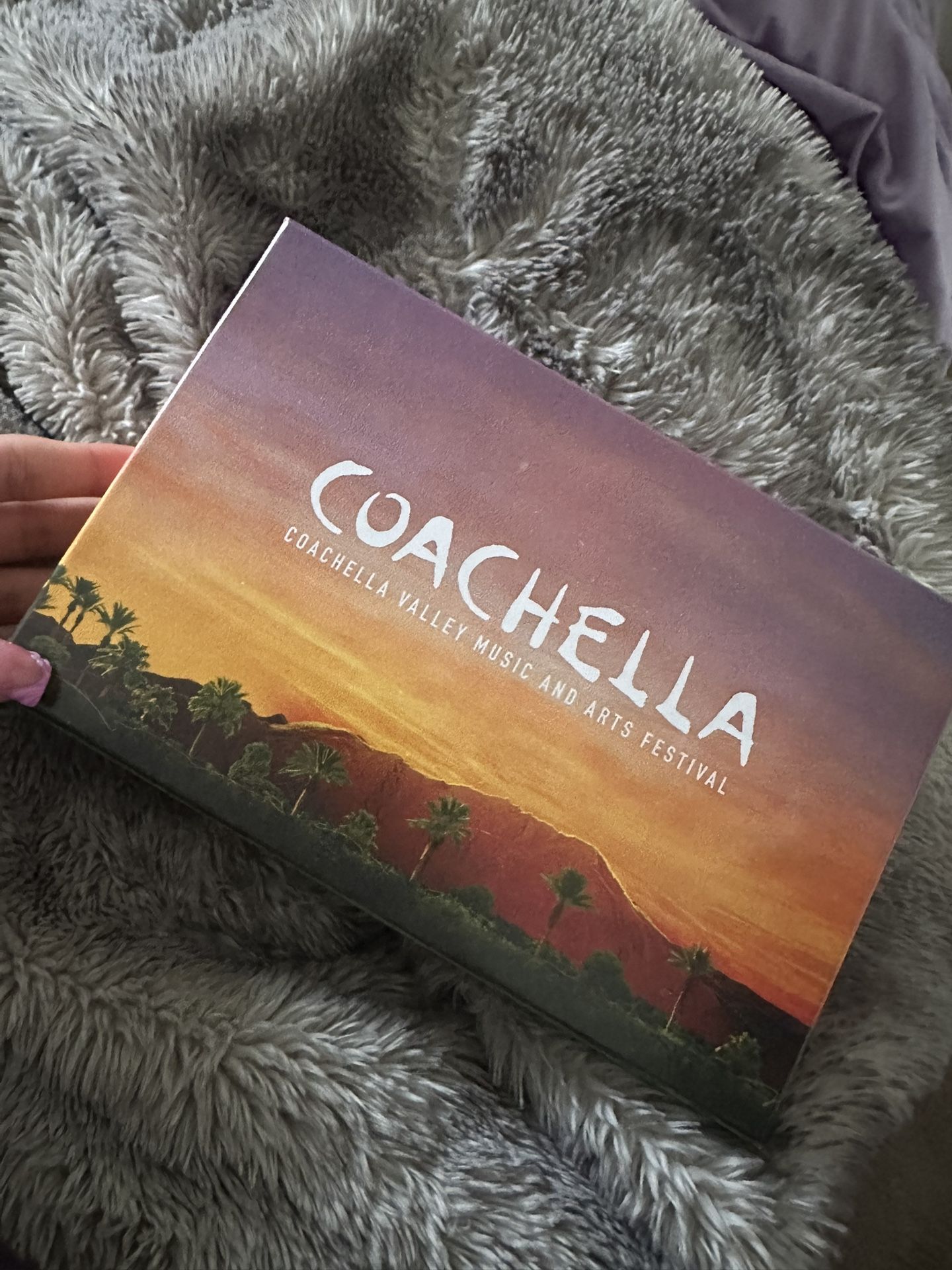 2 Coachella 2025 tickets (can be sold separately)