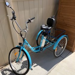 Electric 3-Wheel Bike