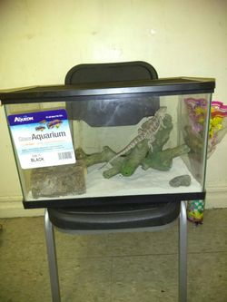 Tank and everything included 100