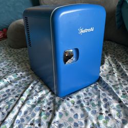 Mini Fridge 