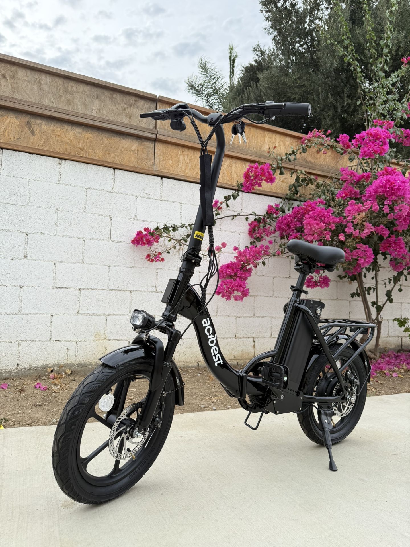 Electric bicycle