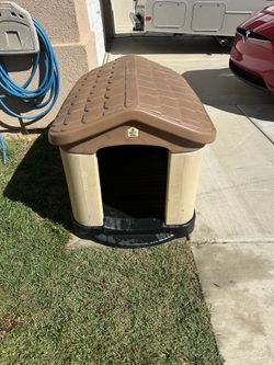 Dog House