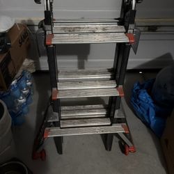 Little Giant Ladder