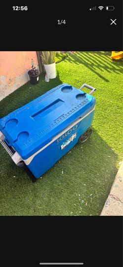 Cooler