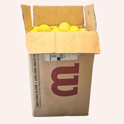 Lot of 200+ Tennis Balls Wilson Penn Diadem Mixed New & Used Practice Training