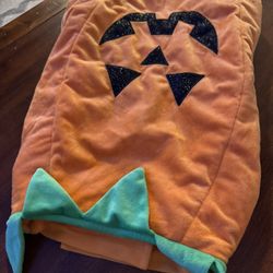 Pumpkin Pet Costume - size large 