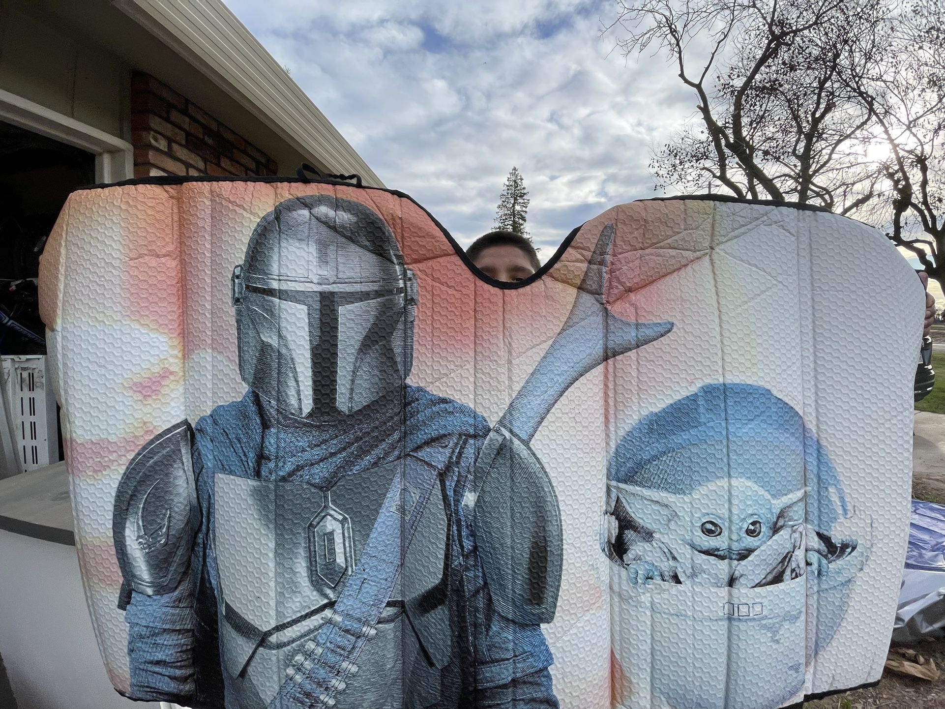 Two Separate Mandalorian Windshield Covers